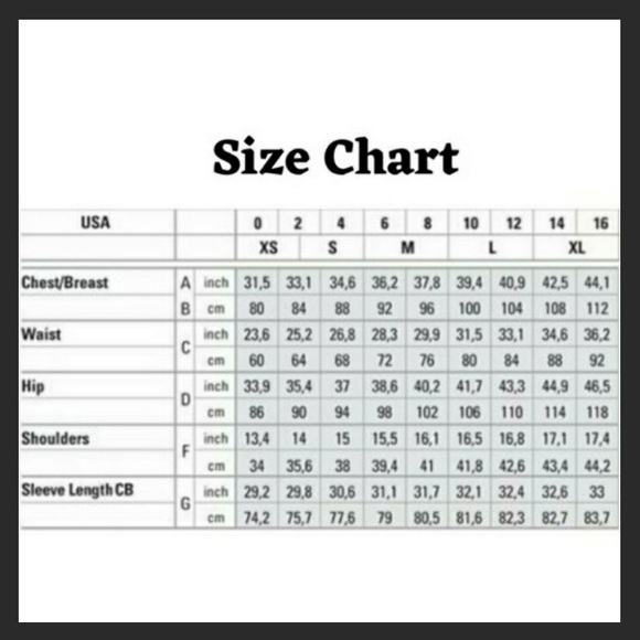 NWT Chiffon Layered Peplum Blouse/Peasant Top - Picture 4 of 5